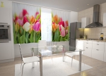 KC Tulips in the Kitchen