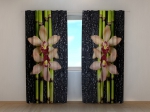 Bamboo, Orchids and Drops