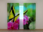 Bright Colours