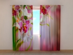 Mottle Orchids