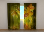 Nephrite Orchids