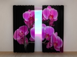 Orchid Twig
