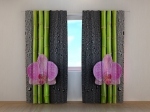 Orchids and Bamboo 2