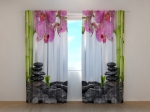 Orchids and Bamboo