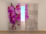 Orchids and Tree 2