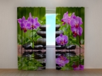 Orchids in the Garden