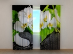 Orchids with a stones Yin Yang