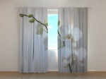 Riga orchid